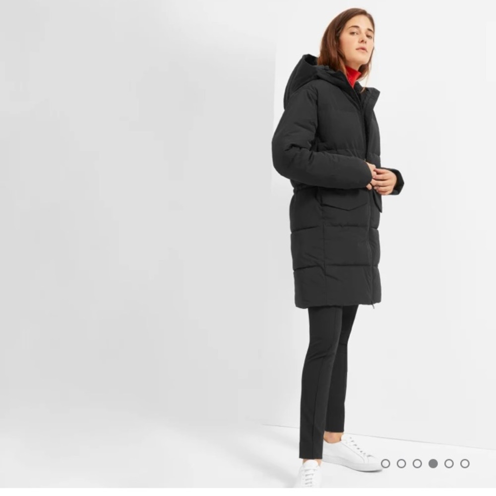 Everlane Black Puffer Jacket